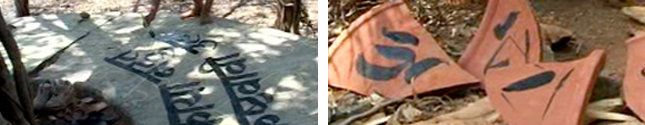 Camp 2008 1